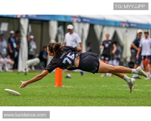 2026飞盘节奏排行榜：上海飞盘队位居第7名